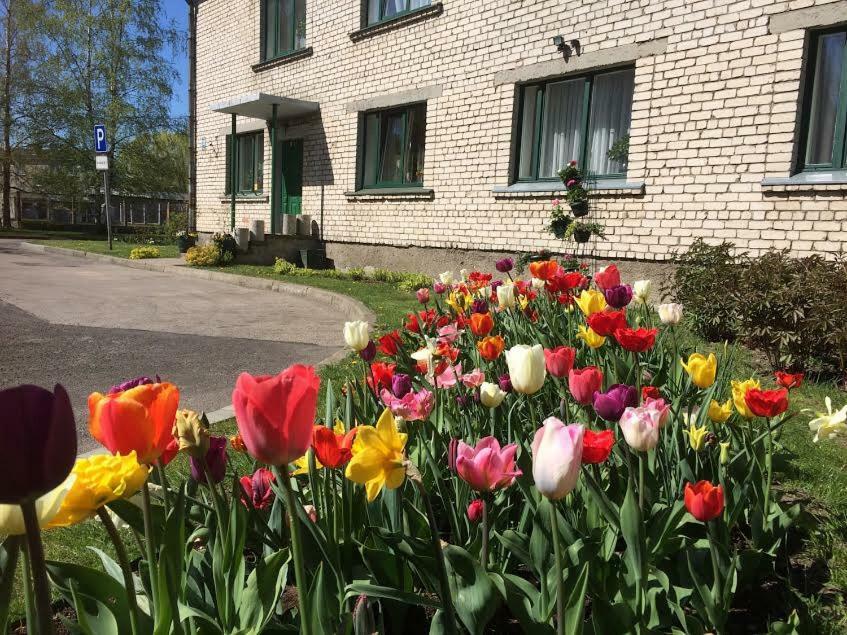 Stradnieku Viesnica Hostel Ventspils Exterior photo